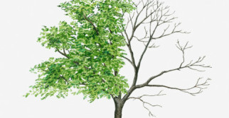 Credit: Thinkstock/LizPepperell