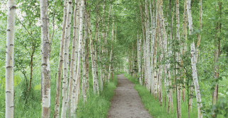 Thinkstock/TongRo Images
