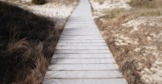 pathways